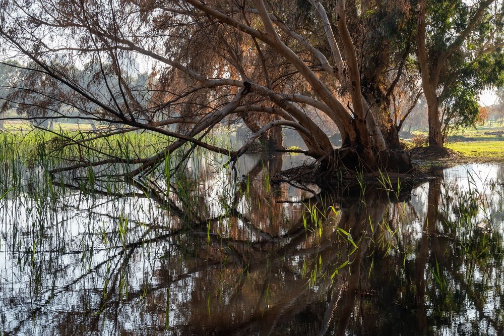 Photograph by Uri Yerochov