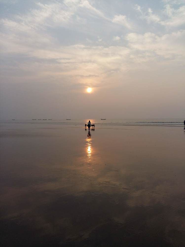 Cradle of Life