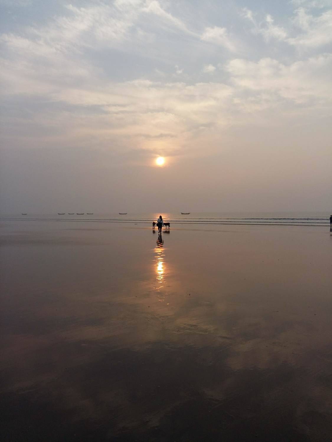 Cradle of Life