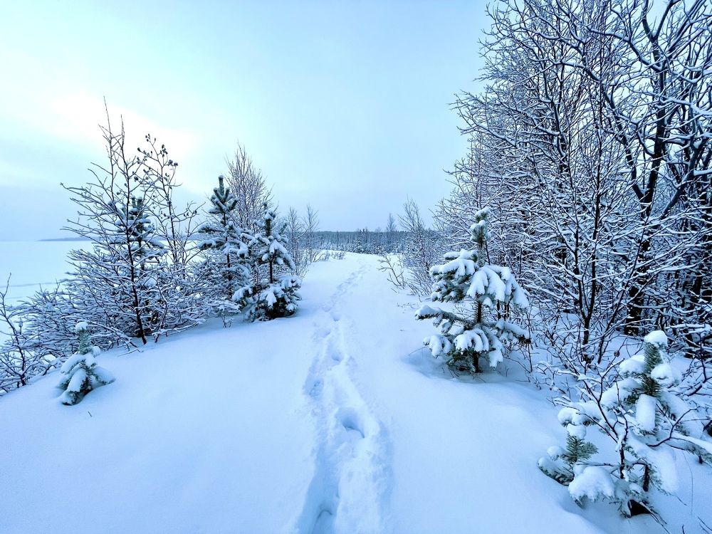 Фотография автора Юлия Шумейко