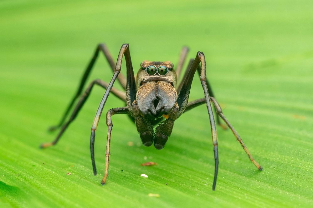 Photograph by Nicholas Ng