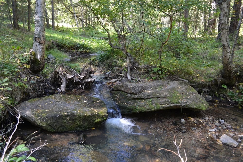Фотография автора Андрей Хлопонин
