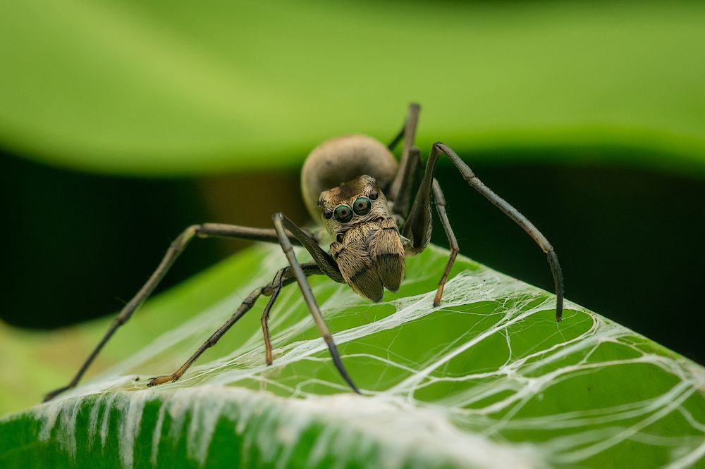 Photograph by Nicholas Ng