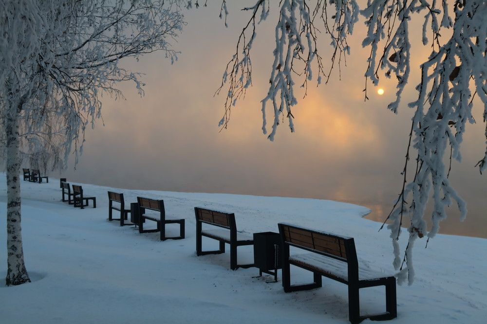 Photo #7057475