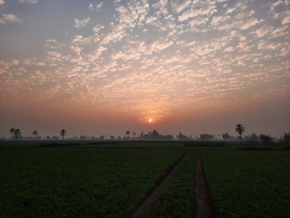 Photograph by mostafa abdelsttar sasa