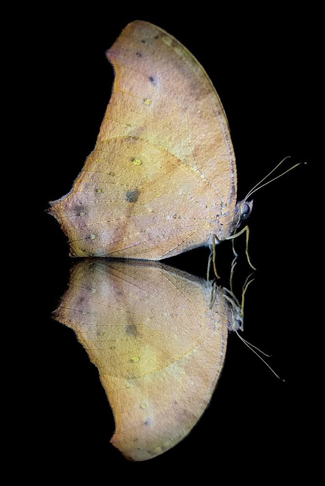 Photograph by Tanmay Karmakar