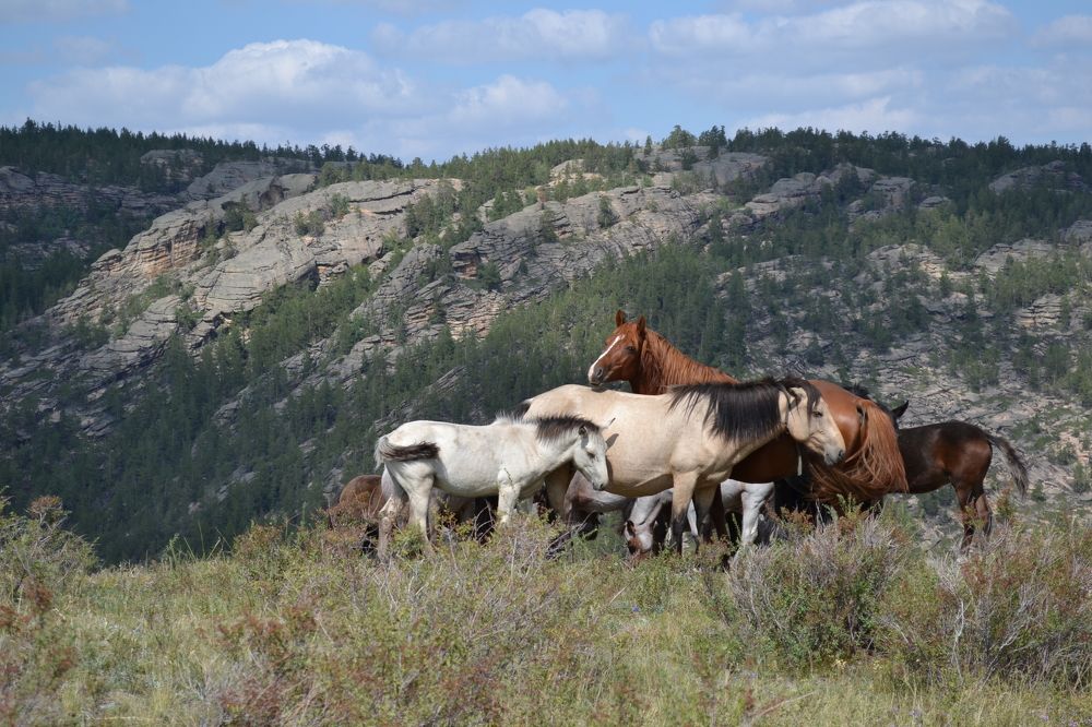 Фотография автора Андрей Хлопонин