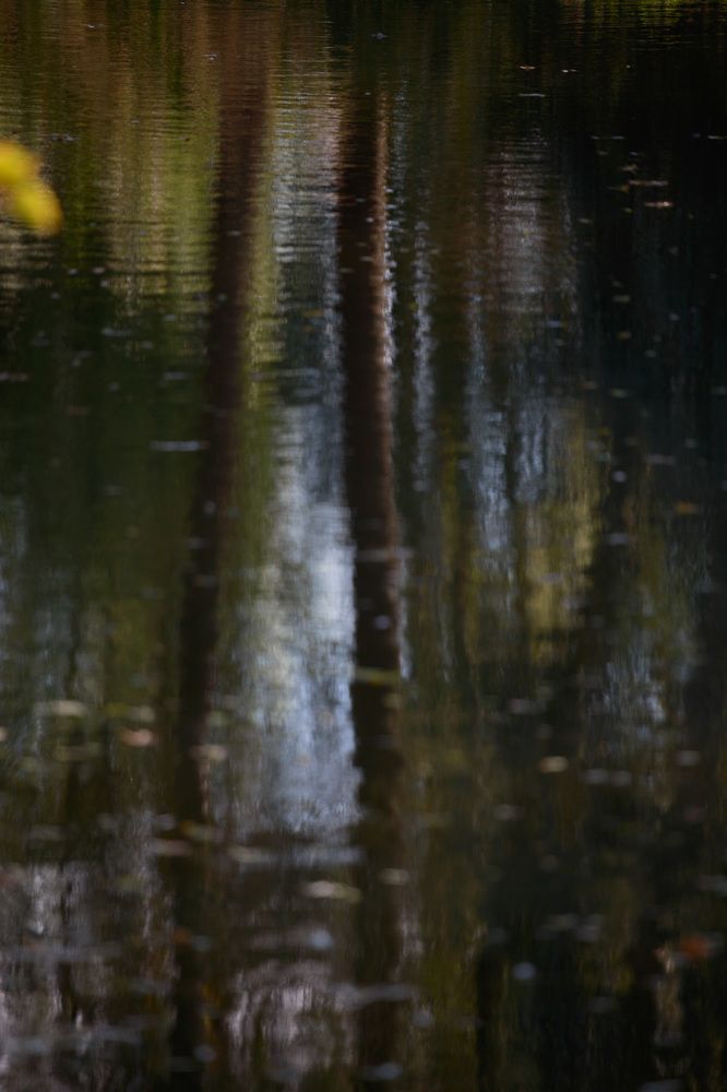 Photograph by Глеб Усаковский