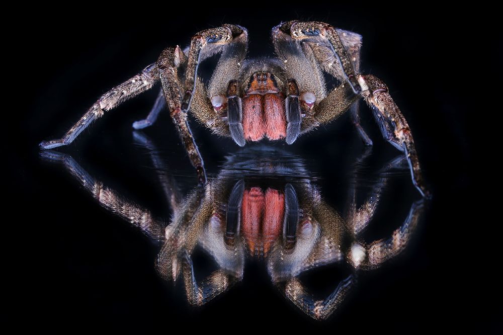 Photograph by Ricardo Q T Rodrigues