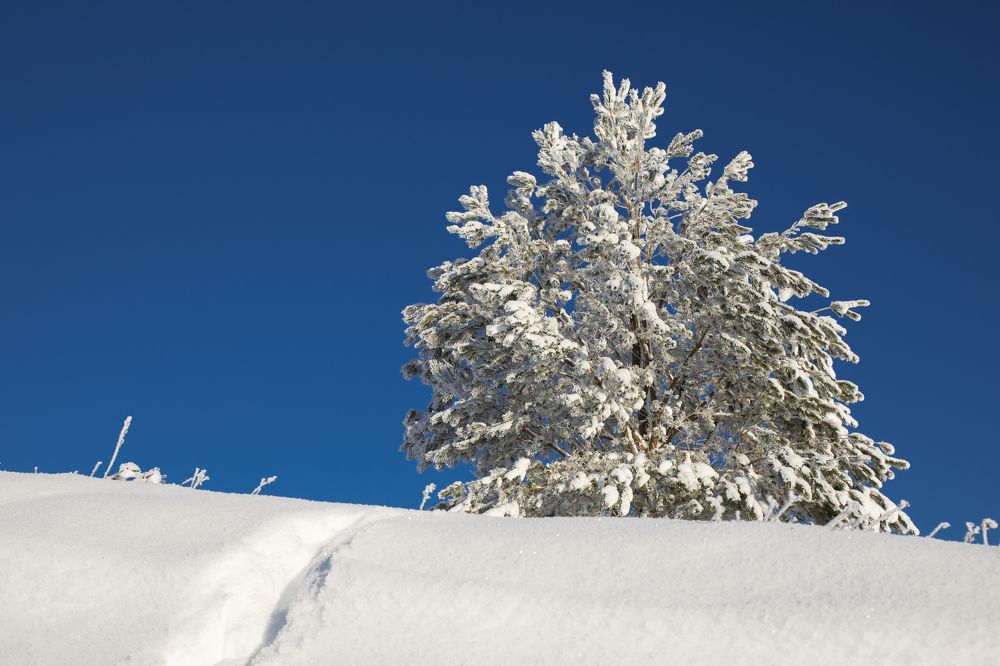 Photograph by Alvils Baltins