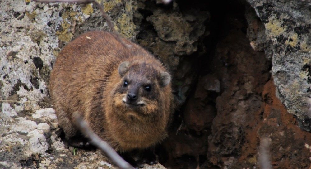 Photograph by Людмила Бутова