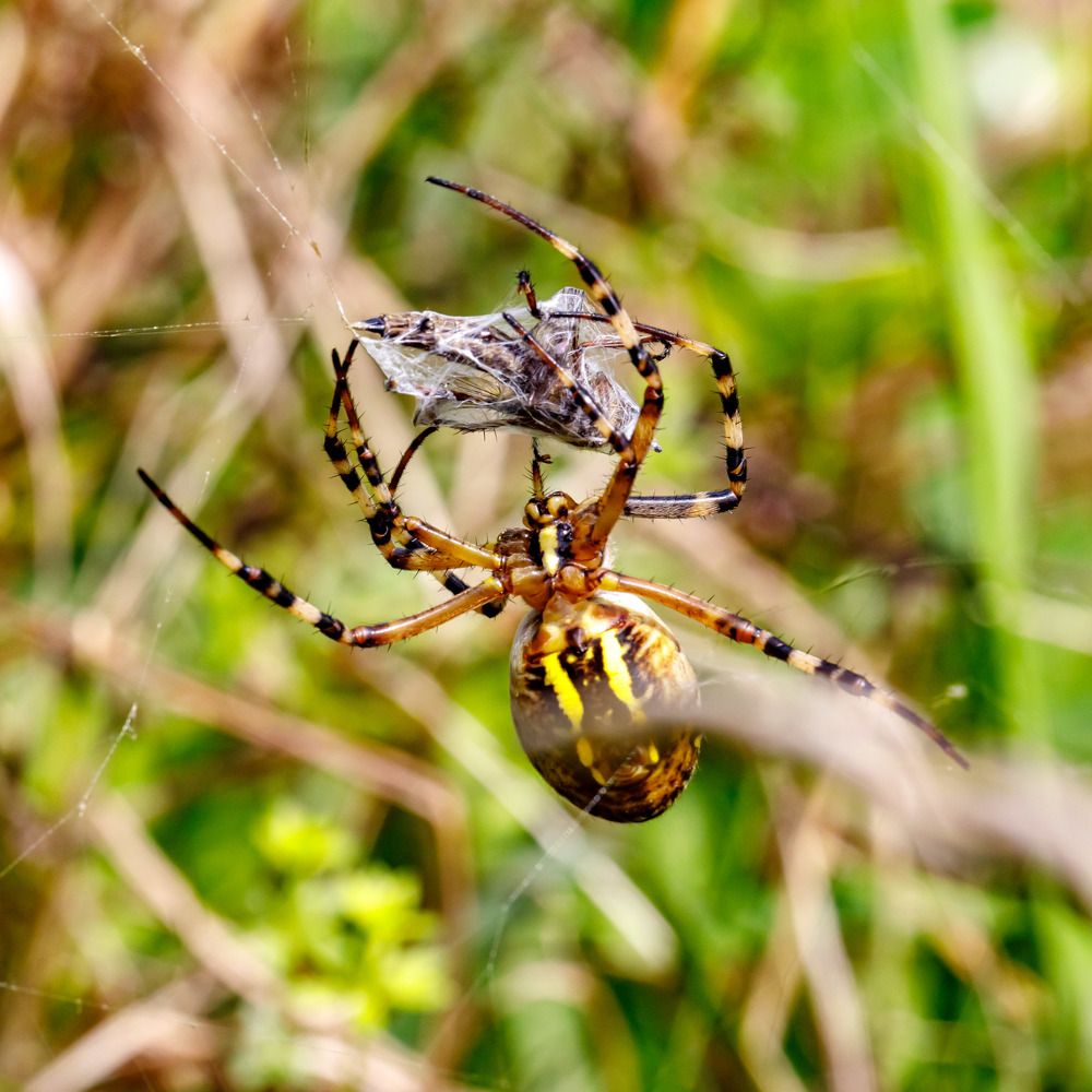 Photograph by Max. Assenbrunner