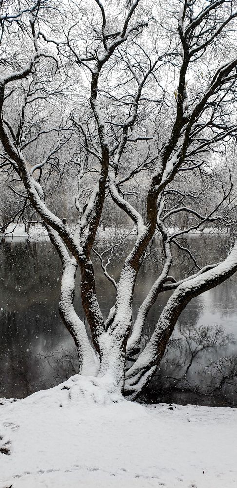 Photograph by Галина Баранова