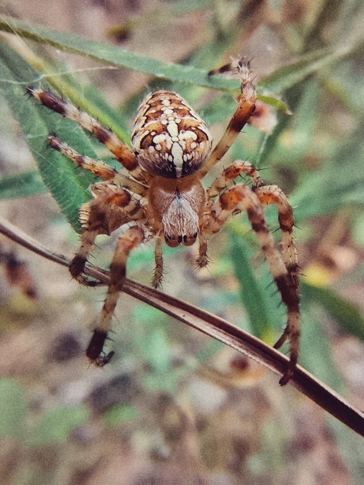 Photograph by Наталья Горбачева