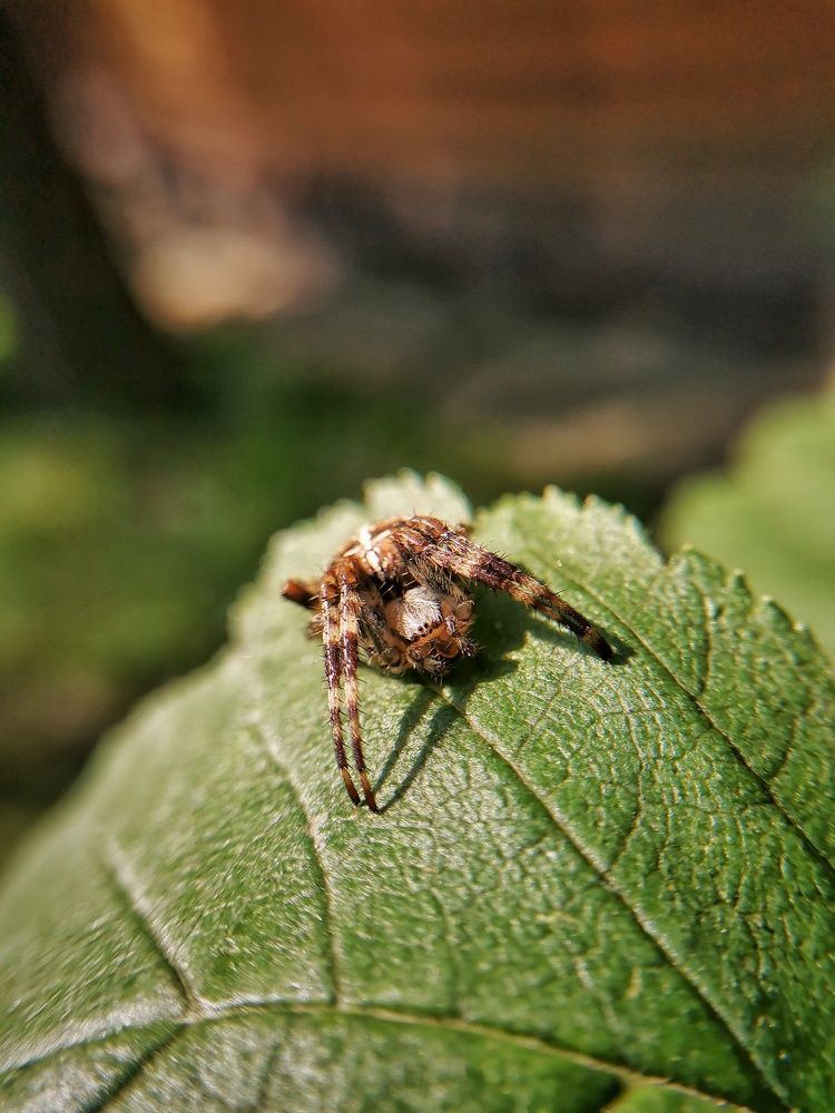 Photograph by Наталья Горбачева