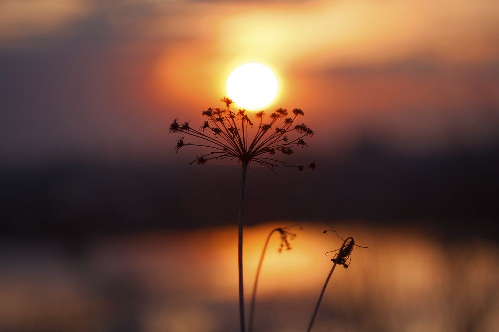 Photograph by Николай Носков