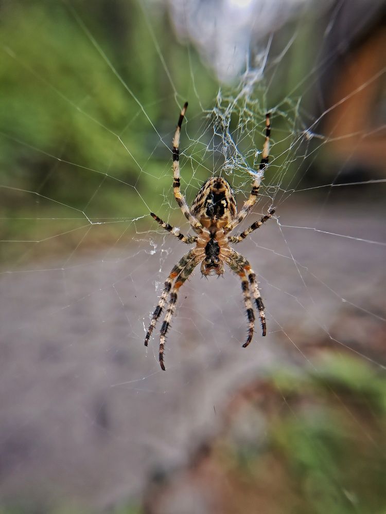 Photograph by Наталья Горбачева