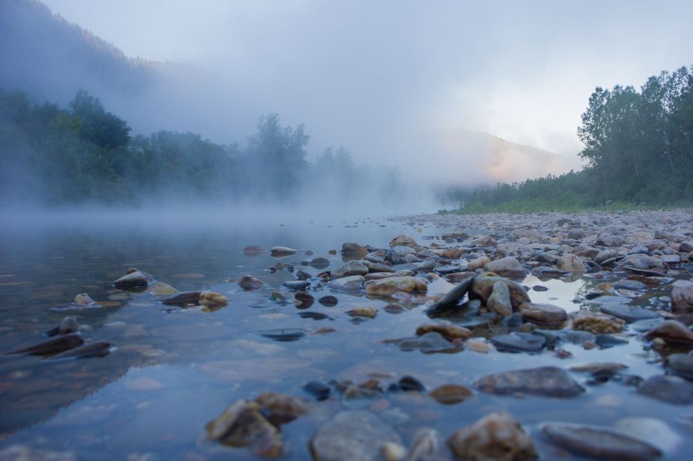 Photograph by Елена Перминова