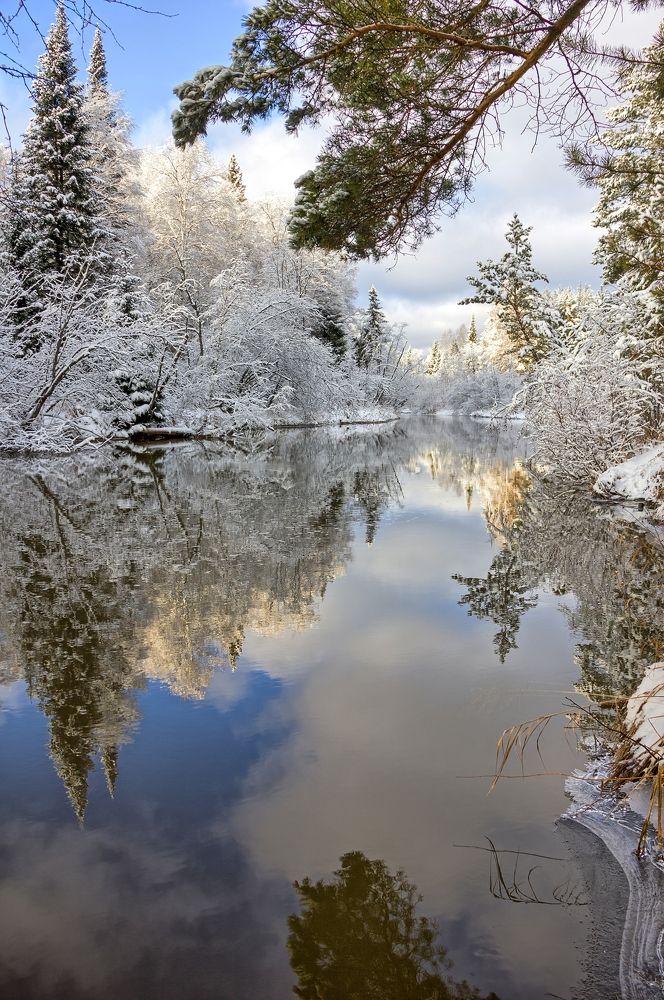 Photograph by Елена Перминова