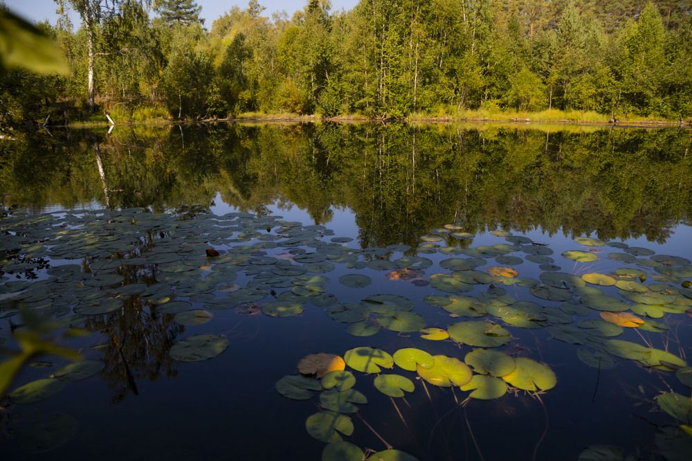 Photograph by Елена Перминова