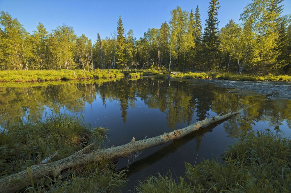 Photograph by Елена Перминова