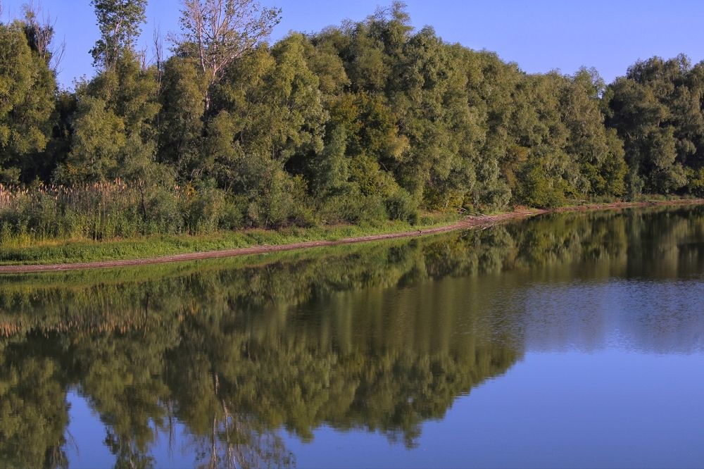 Photograph by Гульжан Шарипова