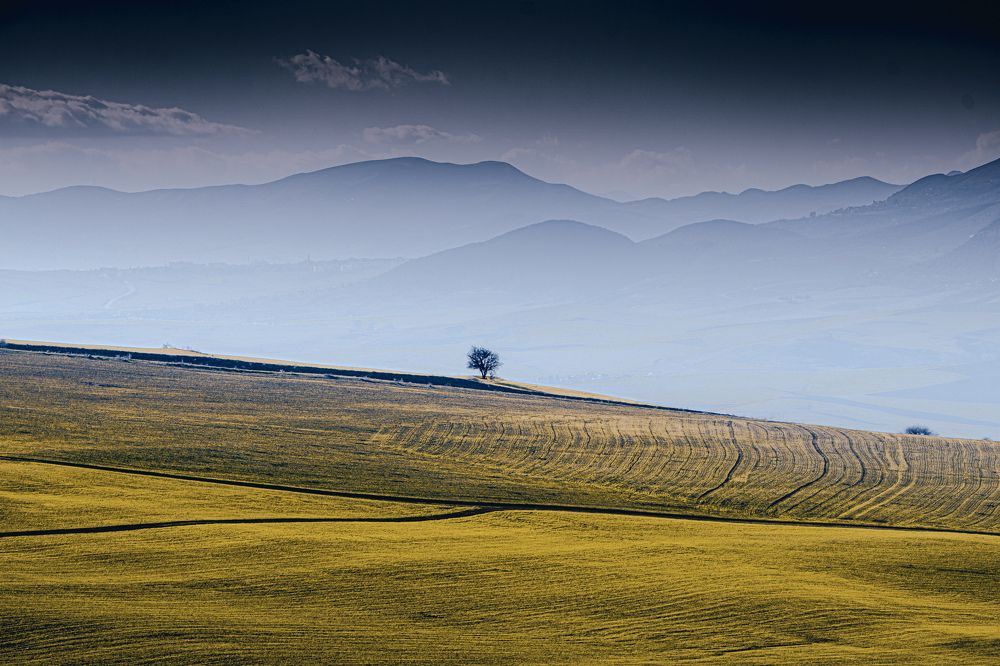 Photograph by Samir Meftah