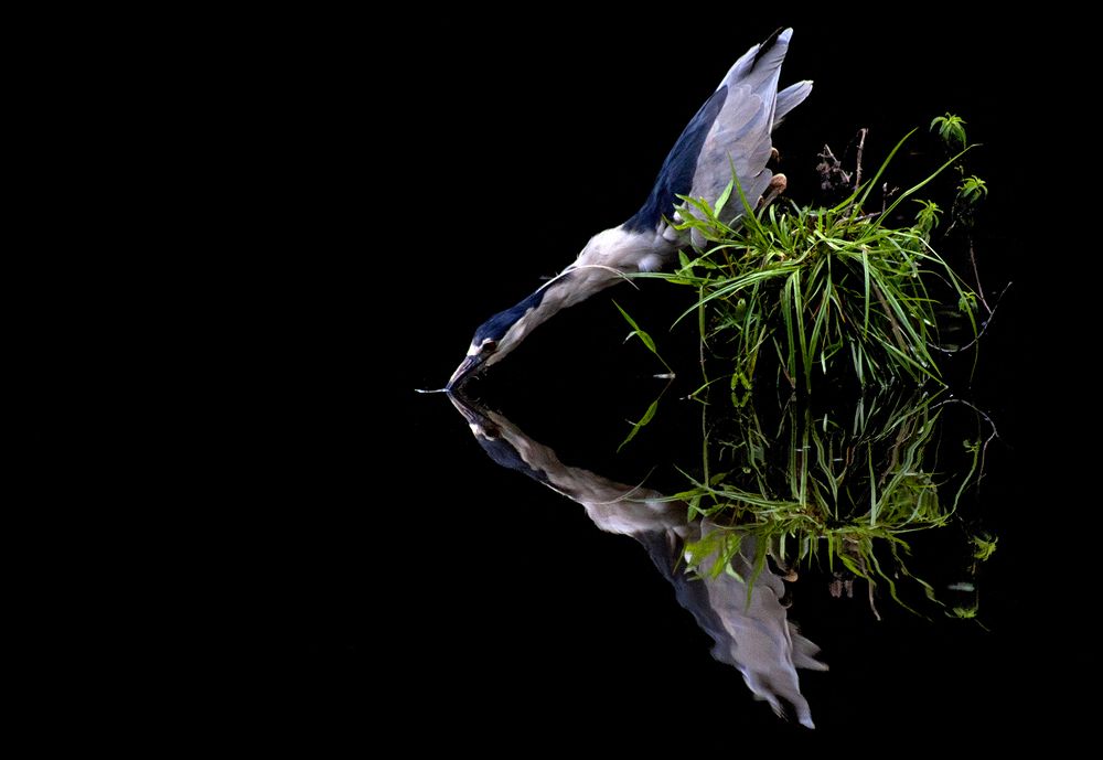 Фотография автора Ricardo Q T Rodrigues