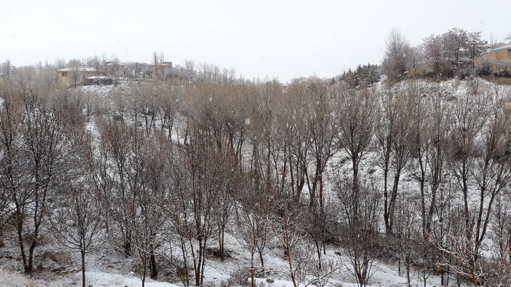 Фотография автора Majid Varasteh