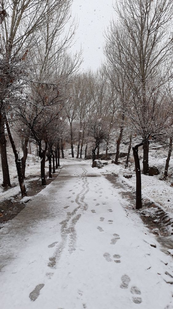 Фотография автора Majid Varasteh