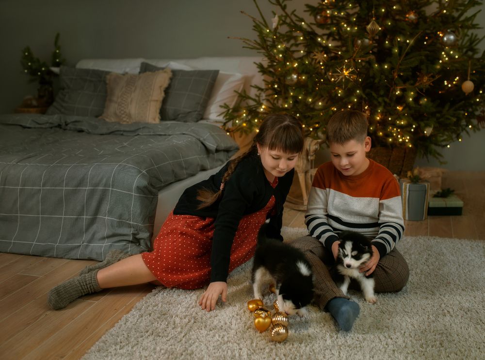 Photograph by Светлана Фролова