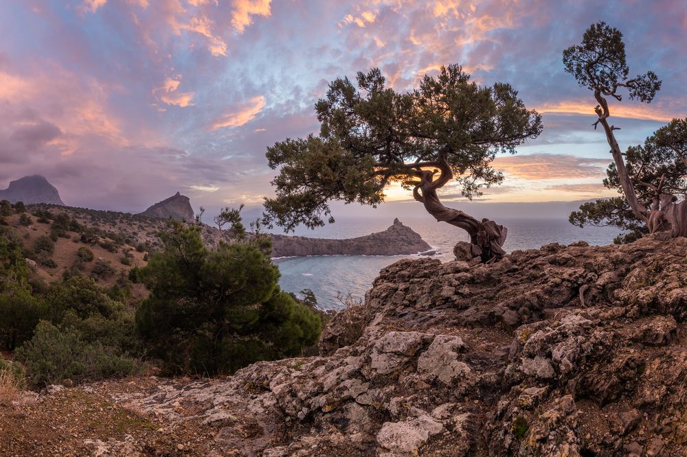 Крымская классика