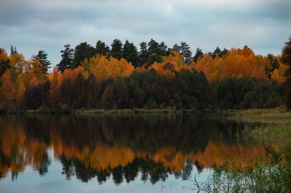 Photograph by Яна Соболева