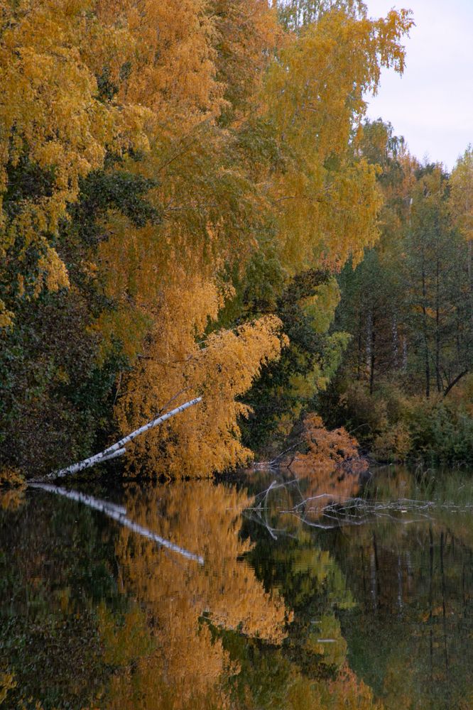 Photograph by Яна Соболева