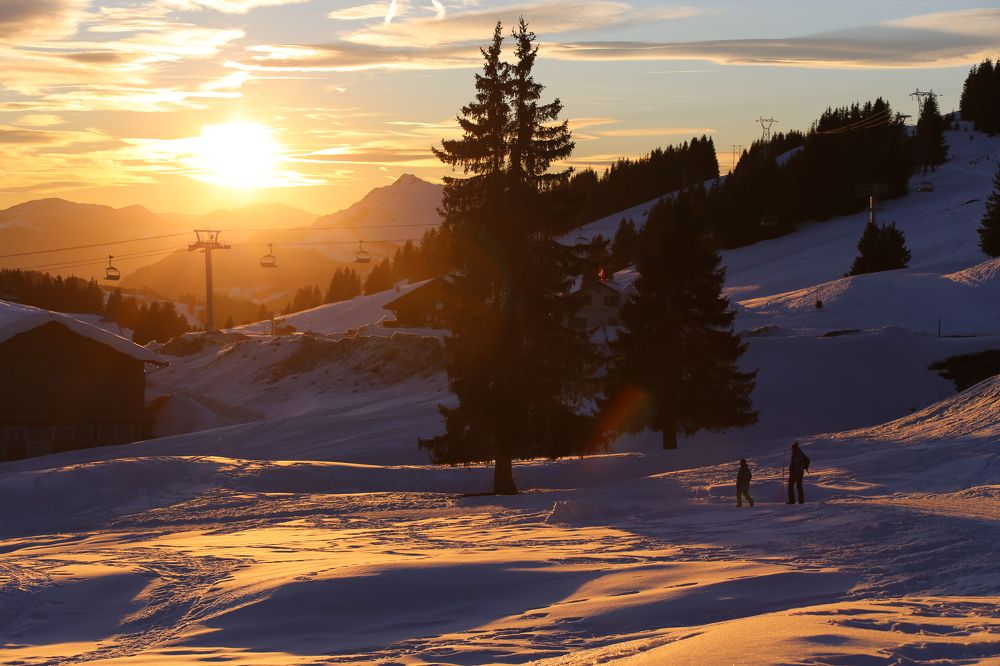 Photograph by Veronika Trubnikova