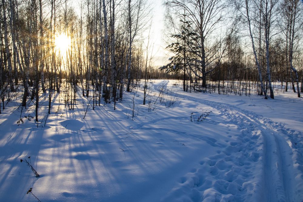 Фотография автора Валерий Каргин