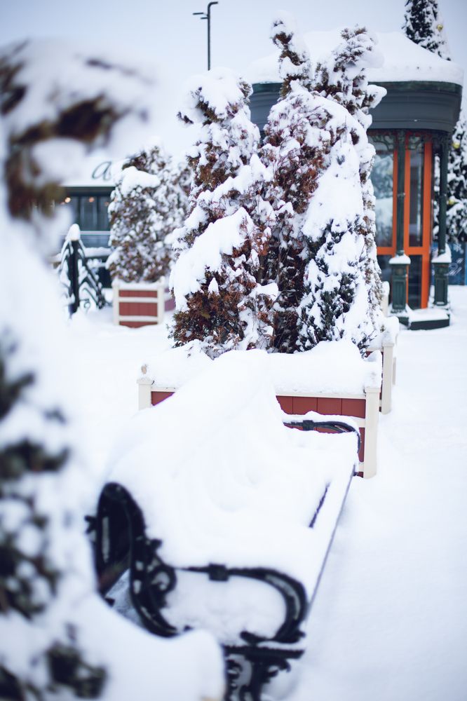 Photograph by Карина Гросул