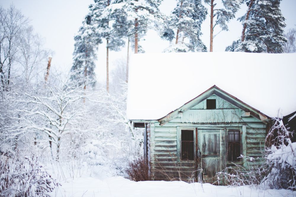 Photograph by Карина Гросул