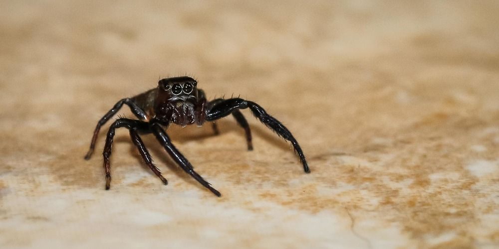 Photograph by Malinda Badenhorst