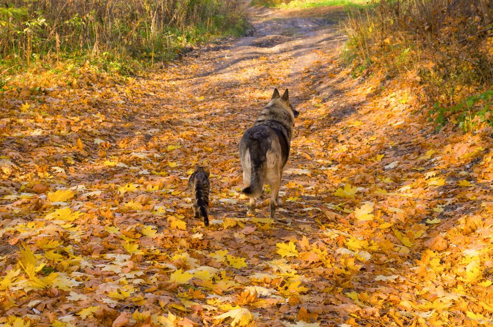 Photograph by Светлана Кондрашова