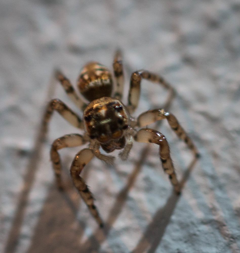 Photograph by Malinda Badenhorst