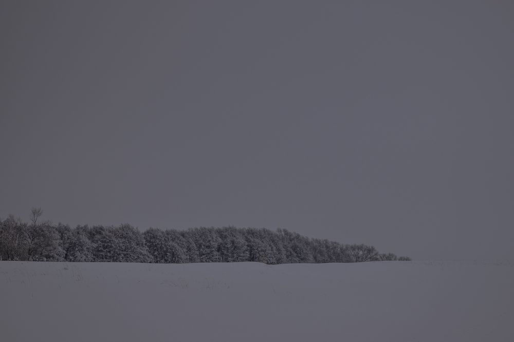 Photograph by Ольга Савина