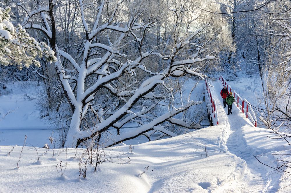 Photograph by Александр Колляков