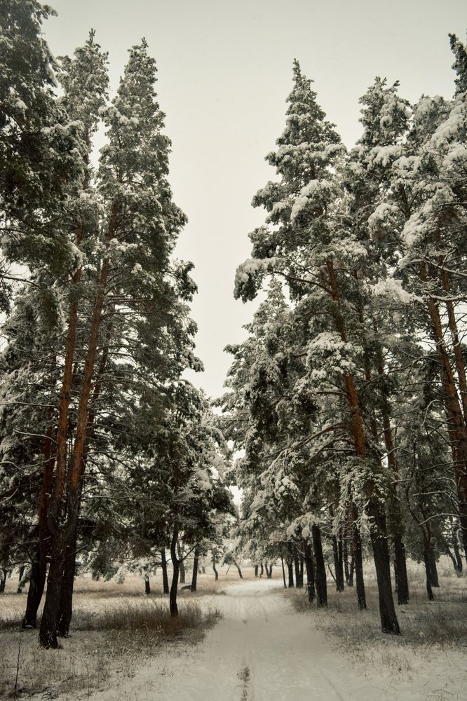 Photograph by Ольга Савина