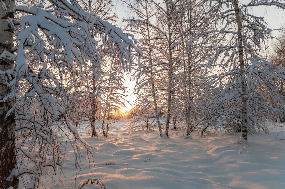 Photograph by Андрей Папанов