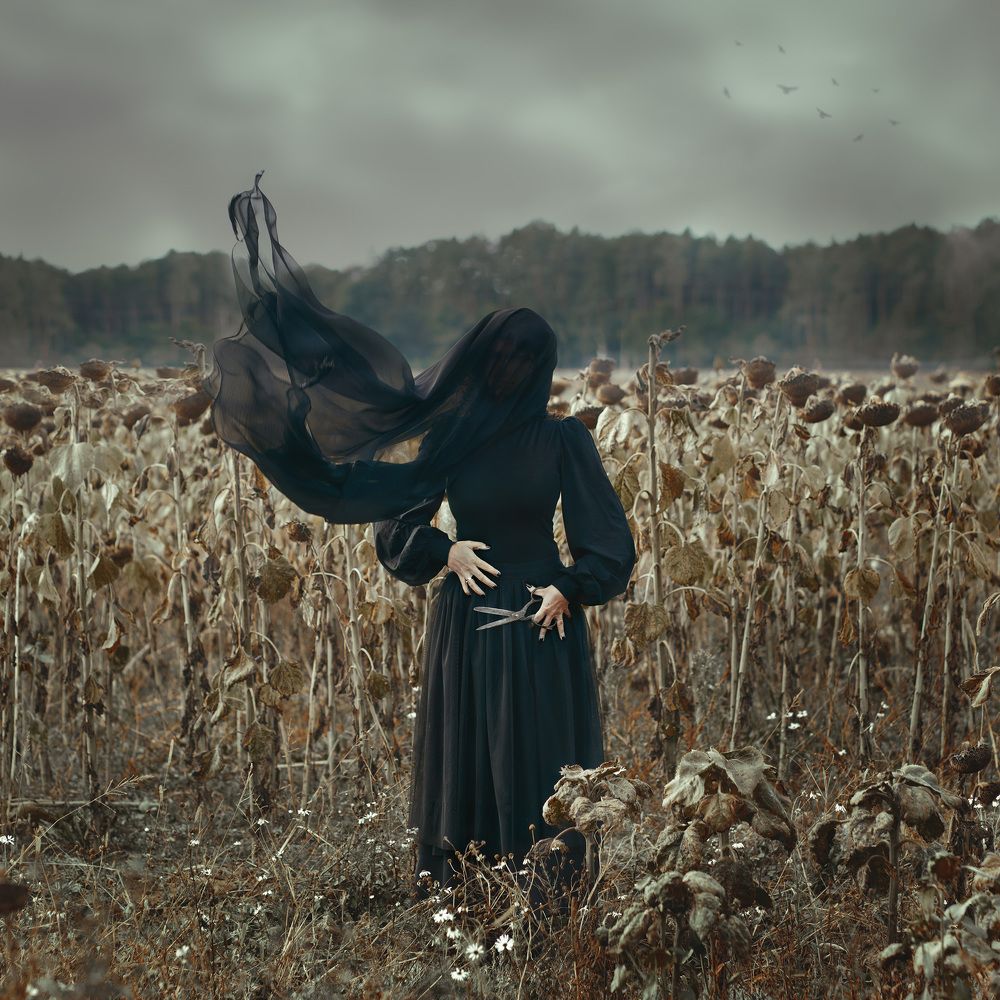 Photograph by Anna Łaskarzewska