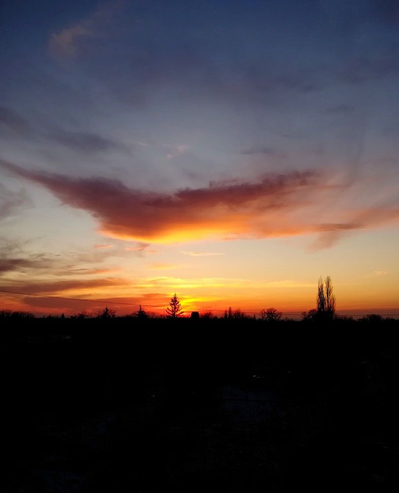 Фотография автора Olena Dyliurman