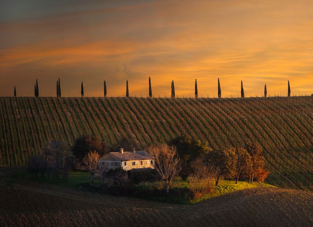 Orange is the new black