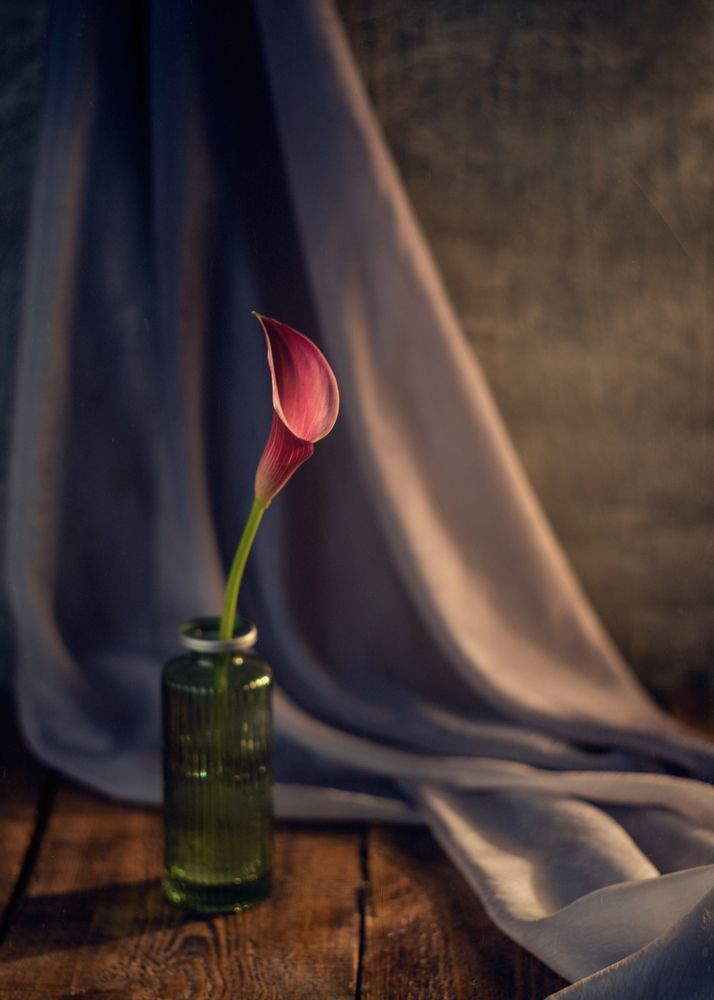 Photograph by Тата Бакбак