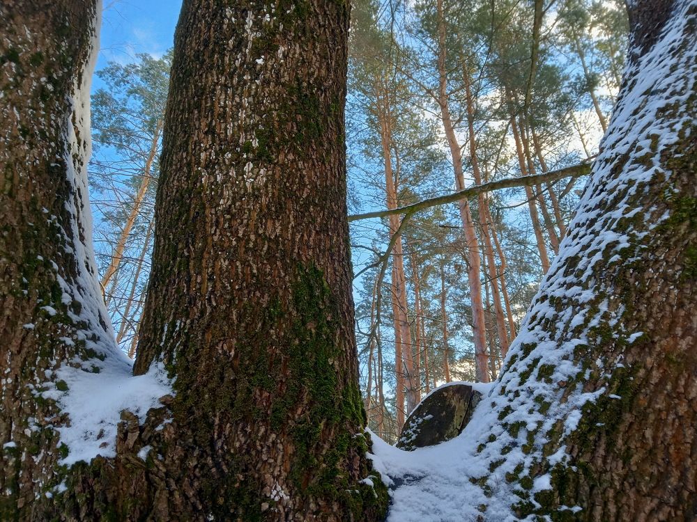 Photograph by Александр Гришин